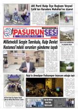 PASURUN SESİ
